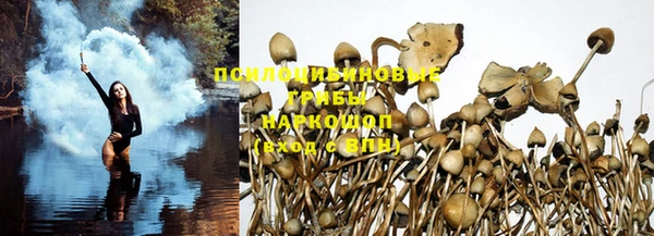 винт Новокубанск