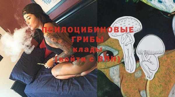 эйфоретик Нефтекумск