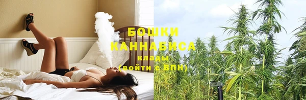 не бодяженный Новозыбков