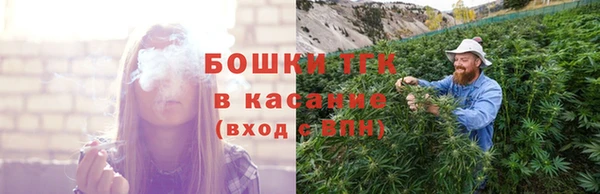 первитин Новодвинск